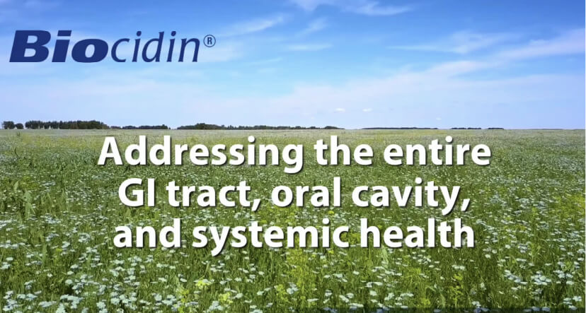 Addressing the entire GI tract, oral cavity, and systemic health