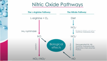 Nitric Oxide and Hormonal Change