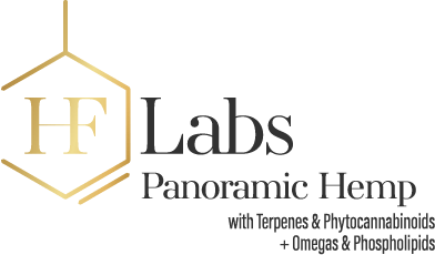 HF Labs Logo