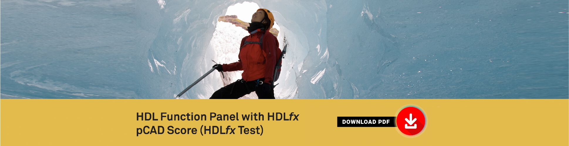 HDL Function Panel - PDF Download