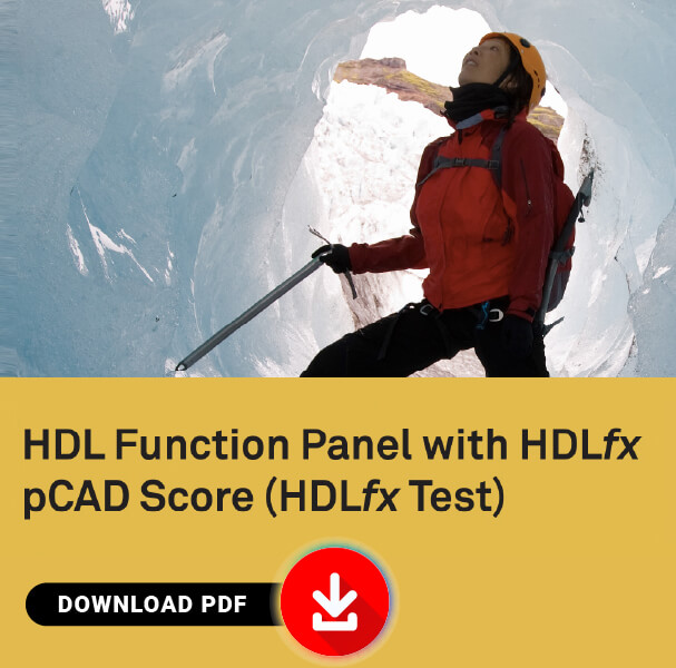 HDL Function Panel - PDF Download