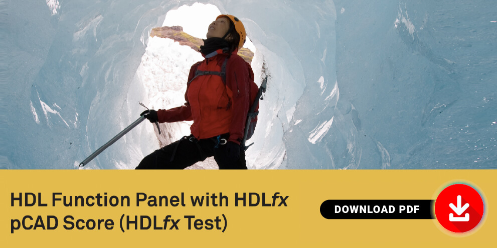 HDL Function Panel - PDF Download