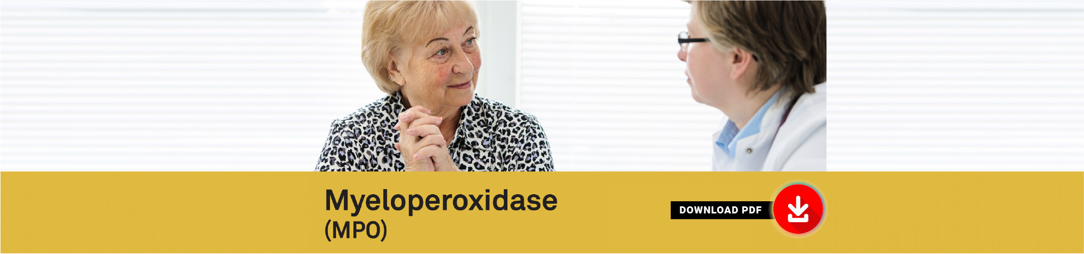 Myeloperoxidase (MPO) - PDF Download
