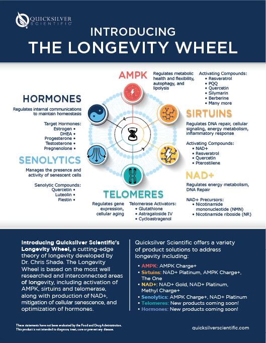 Introducing the Longevity Wheel