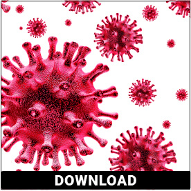 Standard Care for Hospitalized COVID-19 Patients