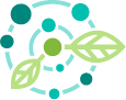 Dietary strategies for anti-aging and disease prevention