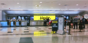 Rental Cars