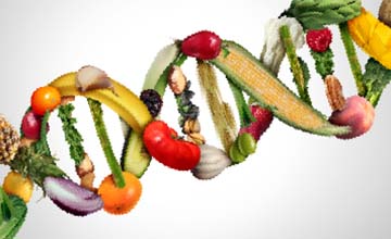 An Introduction to Nutrigenomics