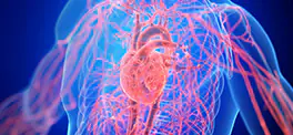 Vascular Health Mastery Certification